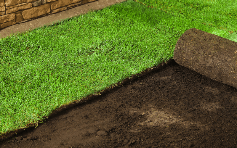 Sod Installation in Niles, IN