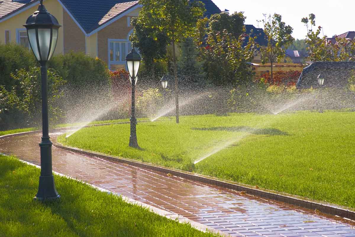 Irrigation System Installation in Roseland project 1