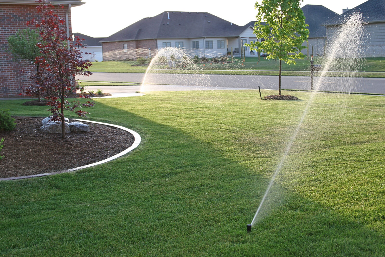 Irrigation System Installation in Roseland project 3