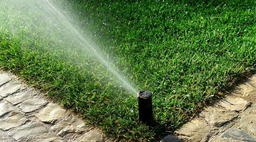 Irrigation System Installation in Roseland project 4