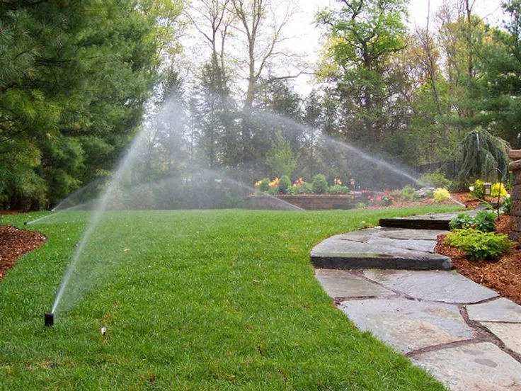 Irrigation System Installation in Roseland project 5
