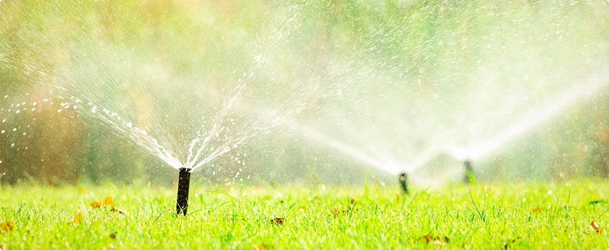 Irrigation System Installation in Roseland project 6