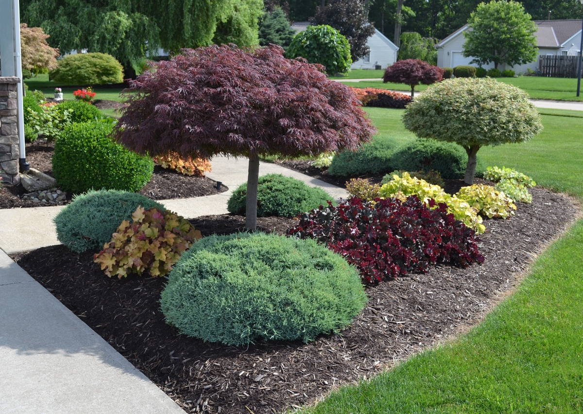 Landscape Design in Niles project 7