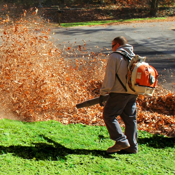 Leaf Removal in Mishawaka project 4