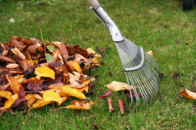 Leaf Removal in Mishawaka project 5