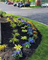 Tree & Shrub Planting in Granger project 7