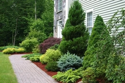 Tree & Shrub Planting in Granger project 9
