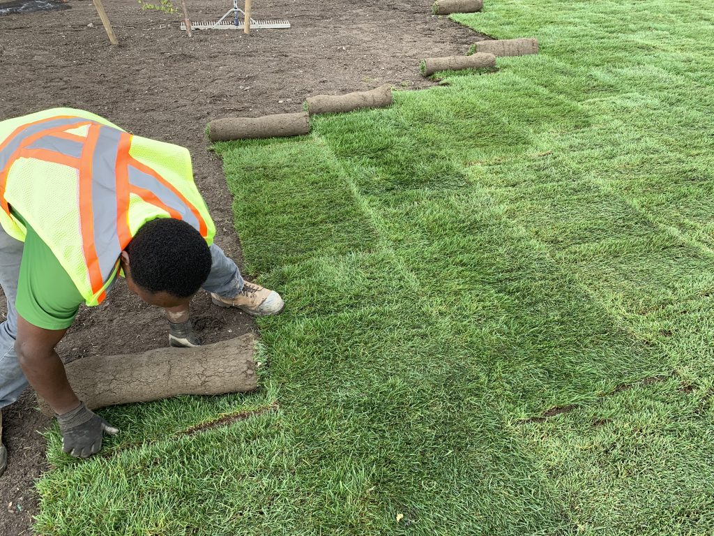 Sod Installation in Niles project 2