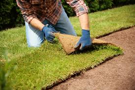 Sod Installation in Niles project 4