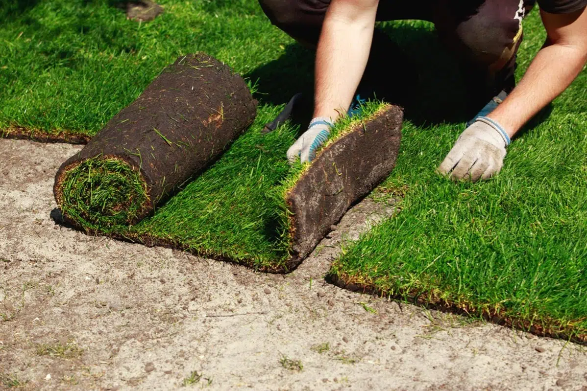 Sod Installation in Niles project 5