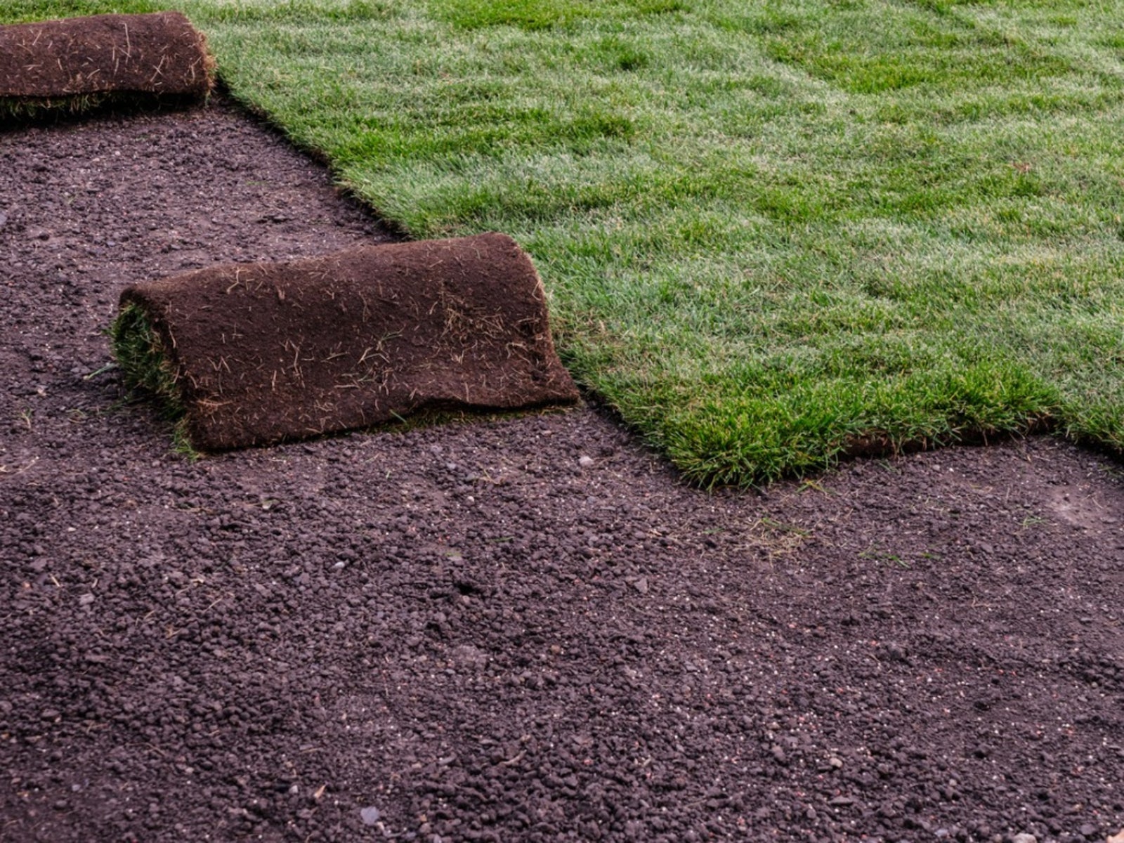 Sod Installation in Niles project 6